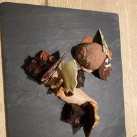 vegan chocolate dessert with chocolate walnut ice cream, chocolate mousse, brownie pieces and chocolate garnish  at Waanzinnig Tilburg in Tilburg