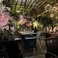   at Antidoto Bistrot in Milan