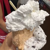 Stracciatella, pesca e panna vegetale   at Gelateria Porta Romana - 126 in Milan