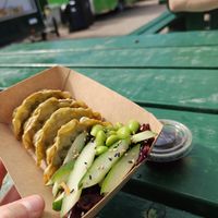 Dumplings from the Japanese stall, 65kr at Uppsala Matmarknad in Uppsala