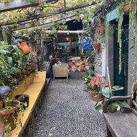   at Marktub Guest House in Jardim Do Mar