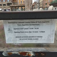 Hours at Feral Feline Colonies Torre Argentina in Rome