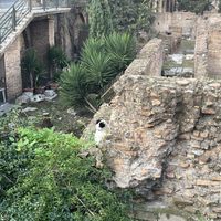   at Feral Feline Colonies Torre Argentina in Rome