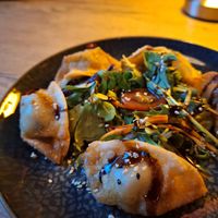 Vegane Gyoza at Tokymon Restaurant in Speyer