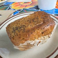   at Vigilante Coffee in Oceanside