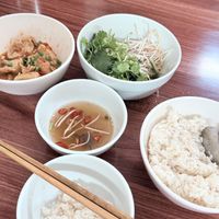 Free starters  at Katze in Hanoi