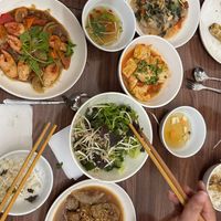 "Huhn", "Rind" und "Seafood" tierfreundlich at Katze in Hanoi