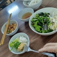 Free starters! at Katze in Hanoi