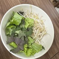   at Katze in Hanoi
