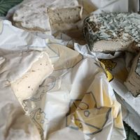 Trio d'affinés végétaux 🧀🌱👌 at ASRAYA in Aubenas