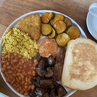 Kitten breakfast  at Black Cat in East London