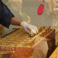 Imokin in the making - you can watch them make it while waiting in line at Mangando - Daimaru Tokyo in Tokyo