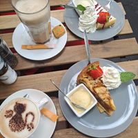  at Kattencafe de Muis  in Arnhem