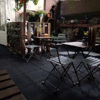 Garden at Kattencafe de Muis  in Arnhem