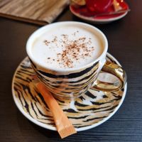 Cappuccino with oatmilk at Kattencafe de Muis  in Arnhem