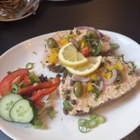   at Kattencafe de Muis  in Arnhem