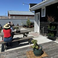   at Falafelove in Eureka