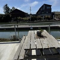   at Falafelove in Eureka