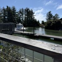   at Falafelove in Eureka