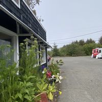   at Falafelove in Eureka