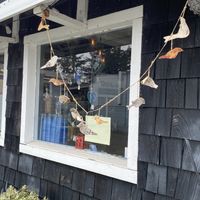   at Falafelove in Eureka