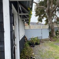   at Falafelove in Eureka