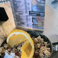  at PLANT SHACK - Palma City in Mallorca