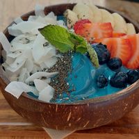  at PLANT SHACK - Palma City in Mallorca