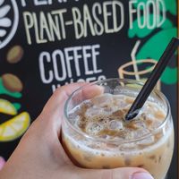  at PLANT SHACK - Palma City in Mallorca