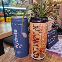 Drinks at PLANT SHACK - Palma City in Mallorca