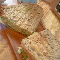  at PLANT SHACK - Palma City in Mallorca