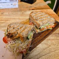  at PLANT SHACK - Palma City in Mallorca