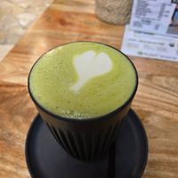  at PLANT SHACK - Palma City in Mallorca