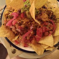  at PLANT SHACK - Palma City in Mallorca