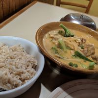 Spicy mock duck curry with vegetables, side brown rice at Lao Laan Xang in Madison