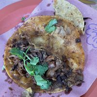   at Pinogüino Gastronomía Sustentable in San Andres Cholula