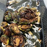   at Twisted Root in Eagle