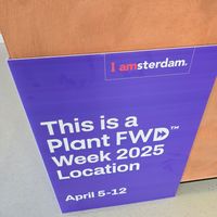  at Margo's Amsterdam Bellamy - Oud-West in Amsterdam