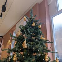  at Margo's Amsterdam Bellamy - Oud-West in Amsterdam