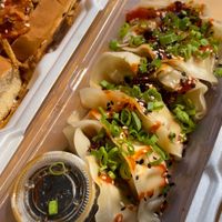 Spicy Veggie Dumplings  at Bun Buds in Fall River