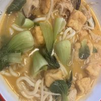 Tofu and udon noodles  at Malatang Express in Durham