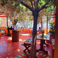   at Tranquilo in Santorini