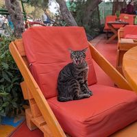  at Tranquilo in Santorini