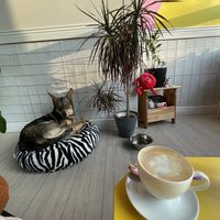   at Plażka in Gdansk