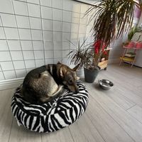   at Plażka in Gdansk