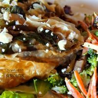 Happy Meatless Monday!
Today's special is a wonderful Vegetable Strudel! Flaky Phyllo Dough filled with Savory Grilled Vegetable Filling and Gouda Cheese!  at Sprouts Cafe in Gastonia