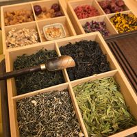 tea tasting at Kamala Vegan in Berlin