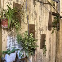   at Hem Vegan in Hanoi