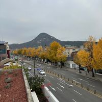 View from the roof! at Leedorim - Gyeongbokgung Main Branch  - 경복궁 본점 in Seoul