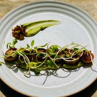 Mushroom delight at ETHOS Wholefood Cafe & Shala in Koh Phangan